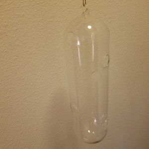 West Elm Shane Powers Large Glass Hanging Plant Capsule